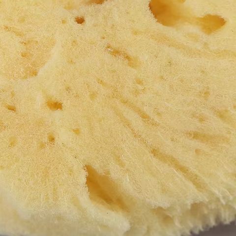 Специальный инструмент для очи – обзор и цена Eco Sponge